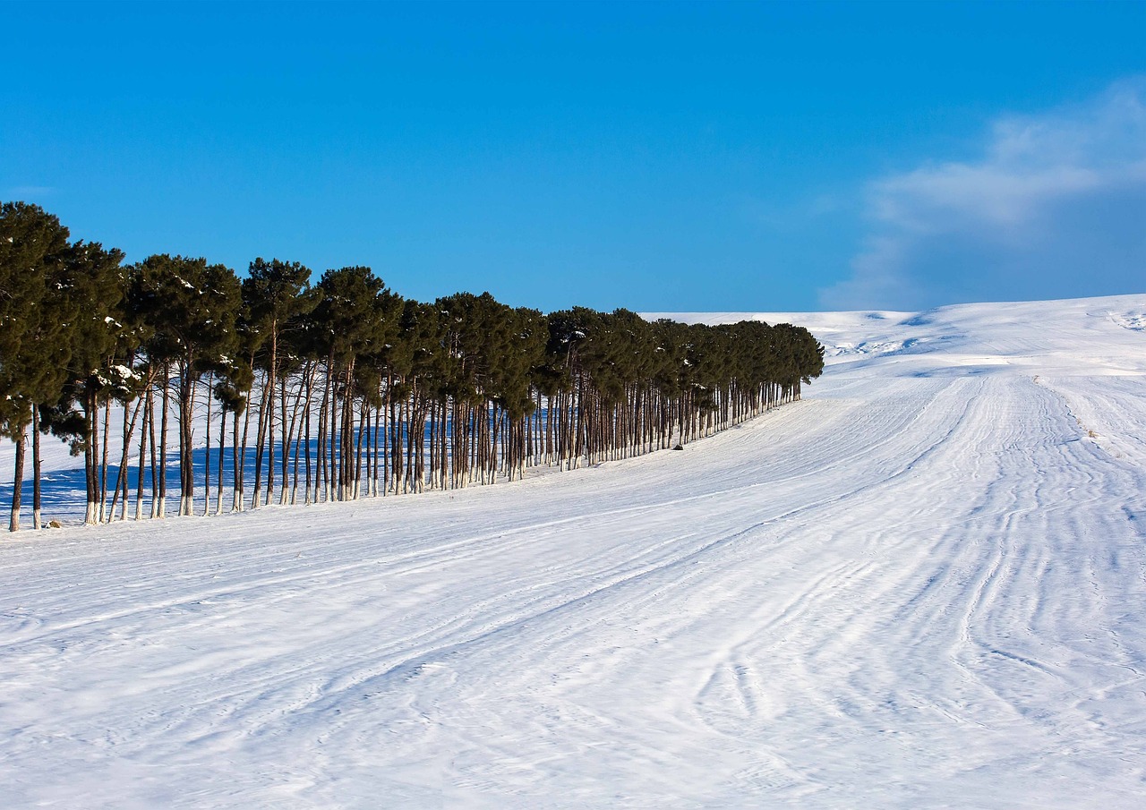 azerbaijan, snow, winter, road, countryside, forest, hill, nature, beauty, azerbaijan, azerbaijan, azerbaijan, azerbaijan, azerbaijan
