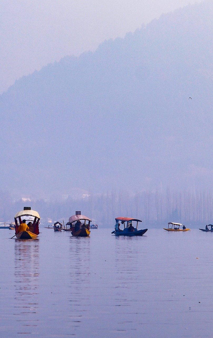dal, lake, kashmir
