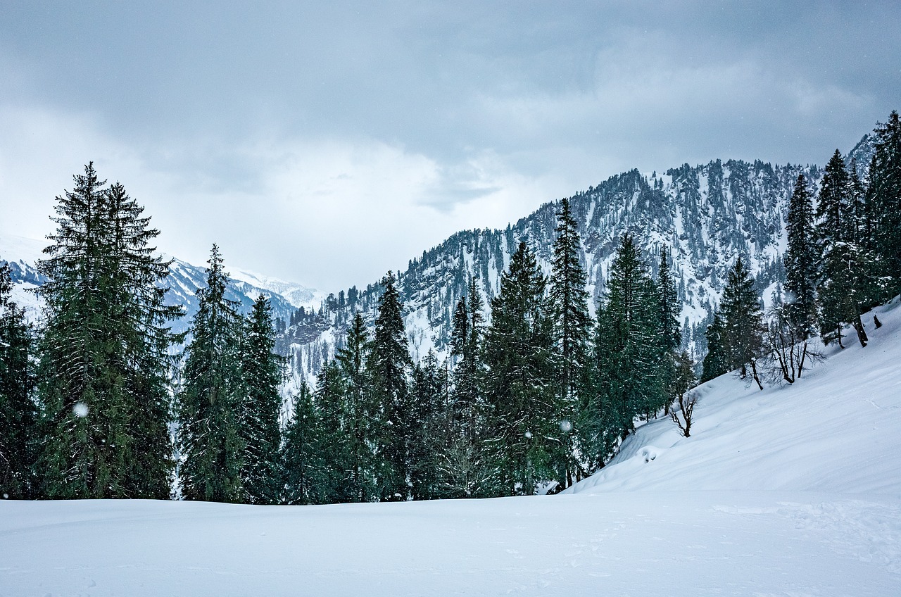 snow, snowfall, winter, himalayas, trek, trekking, adventure, white, christmas, himachal, himachal pradesh, nature, solang, manali, india, cool, chill, cold, himachal, himachal, himachal pradesh, himachal pradesh, manali, manali, manali, manali, manali