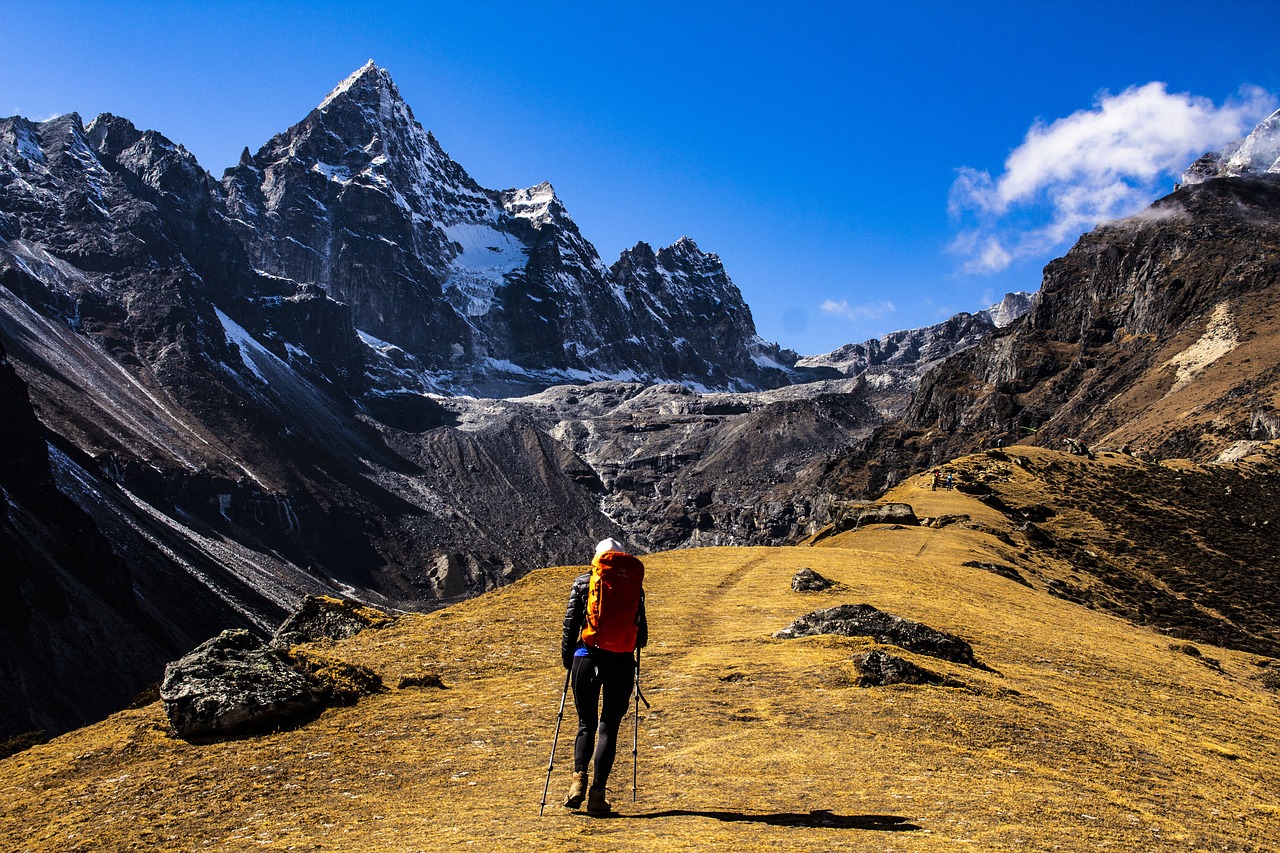 mount everest, mountains, trekking, nepal, everest, hiker, hiking, backpacking, adventure, journey, ridge, path, trail, landscape, nature, mountain range, mount everest, mount everest, mount everest, mount everest, trekking, nepal, nepal, nepal, nepal, nepal, everest, everest, everest, hiking, hiking, hiking, journey, journey, journey