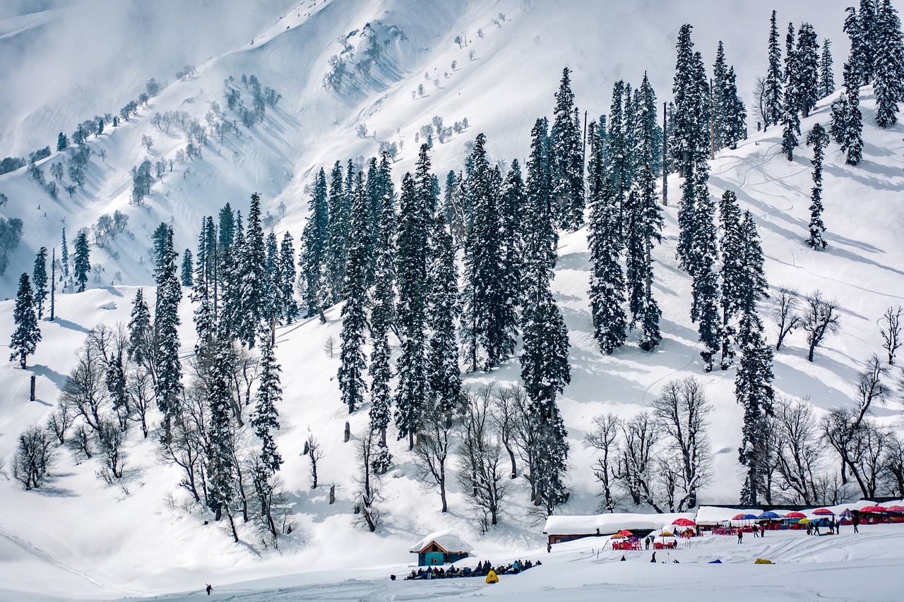 landscape, view, himalayas, kashmir, sky, mountains, india, snow, skiing, gulmarg, white, blue, scenery, wintry, firs, winter, snow landscape, trees, fir forest, blue sky, cold, icy, frosty, snowy, kashmir, kashmir, nature, kashmir, kashmir, kashmir, gulmarg, gulmarg, gulmarg