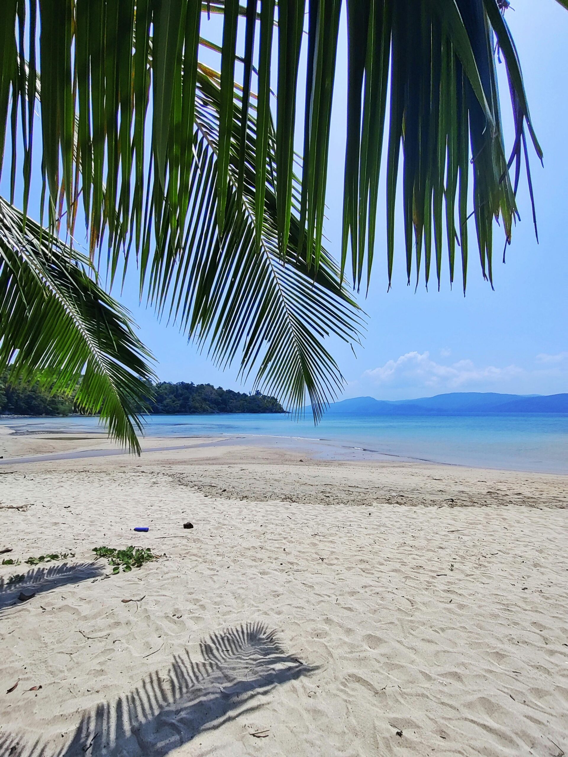 Pristine tropical beach with palm trees and clear ocean in Andaman Islands.